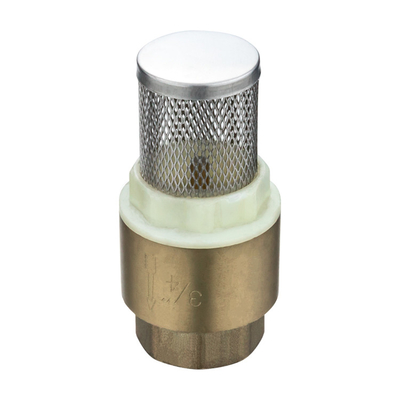 Net Irrigation 1/2" 1" 2" One Way Non Return Brass Check Valve With Stainless Steel Filter Screen