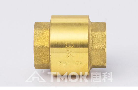 4In Foot Check Valve With Net