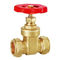 PN16 0.5 Inch Water Line Manual Lockable 1 2 Inch Gate Valve