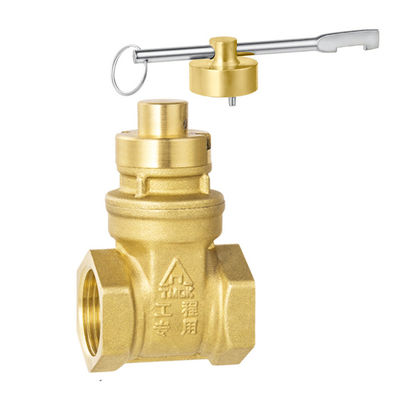 Low Pressure DN25 20mm 22mm Pump Gate Valve