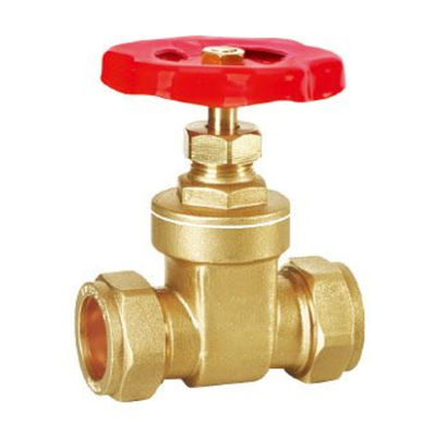 Low Pressure DN25 20mm 22mm Pump Gate Valve