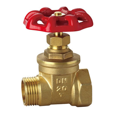 Low Pressure DN25 20mm 22mm Pump Gate Valve