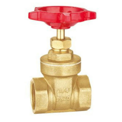 Sanitary 2 Inch DN50 PN16 Brass Color Body Brass Gate Valve With Round Red Handle