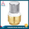 Dn15 Manual 2 Inch Brass Foot Valve For Water Pumps